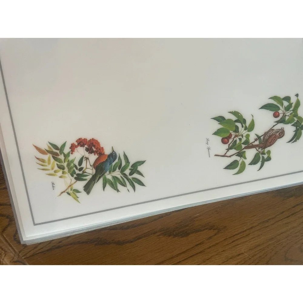 Vintage Roger Tory Peterson Songbird Placemats Set of 6 Nature Bird Art Decor